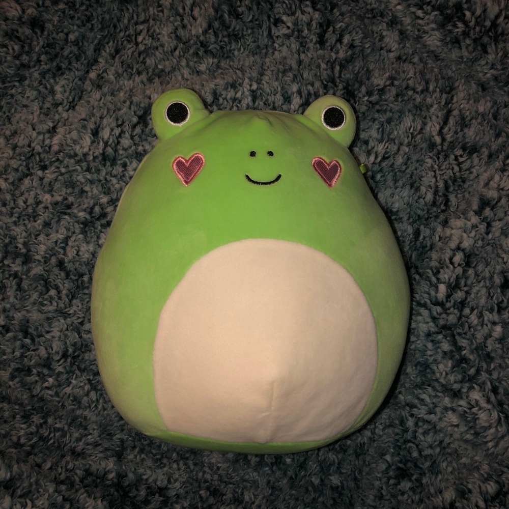 PHILIPPE- 8” frog squishmallow
